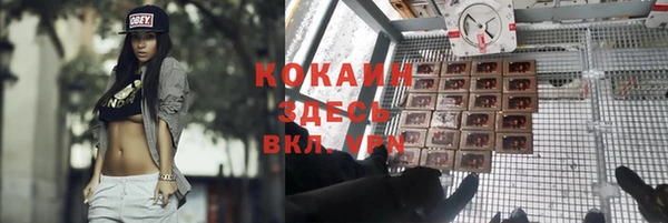 а пвп мука Алзамай