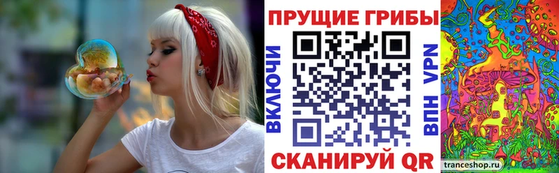 где купить   Белгород  Псилоцибиновые грибы мицелий 